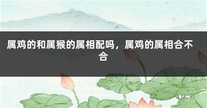 属鸡的和属猴的属相配吗，属鸡的属相合不合