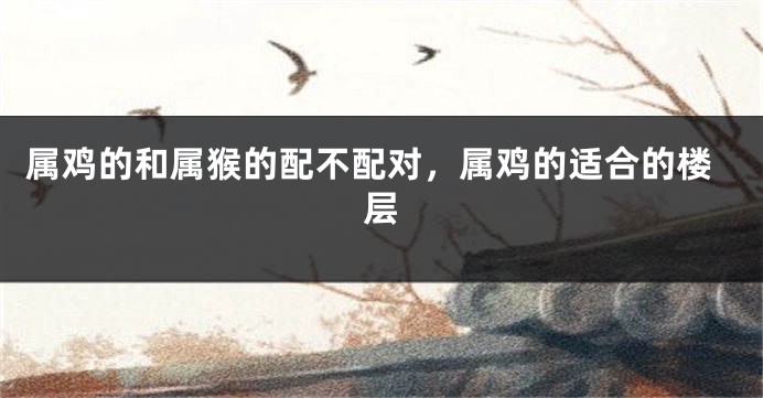 属鸡的和属猴的配不配对，属鸡的适合的楼层