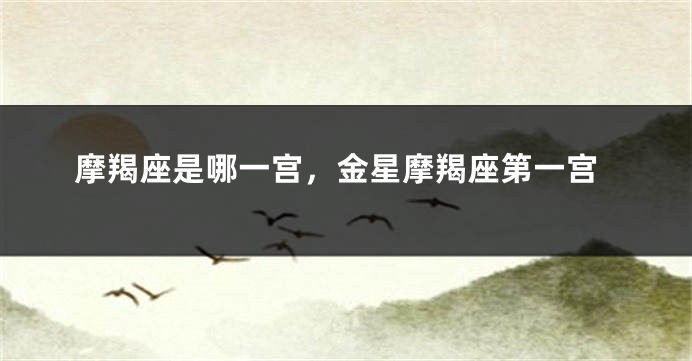 摩羯座是哪一宫，金星摩羯座第一宫