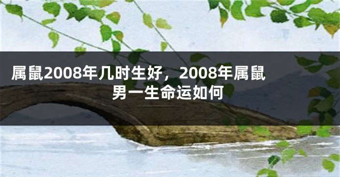 属鼠2008年几时生好，2008年属鼠男一生命运如何