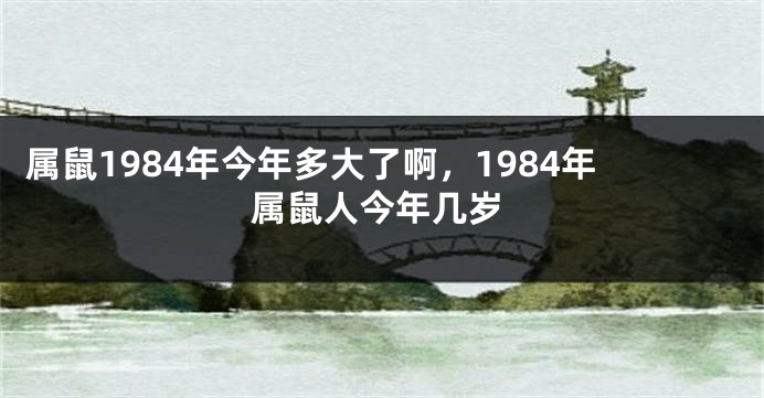 属鼠1984年今年多大了啊，1984年属鼠人今年几岁