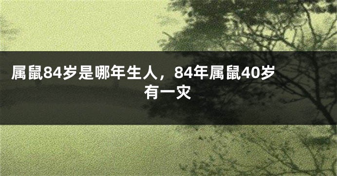 属鼠84岁是哪年生人，84年属鼠40岁有一灾