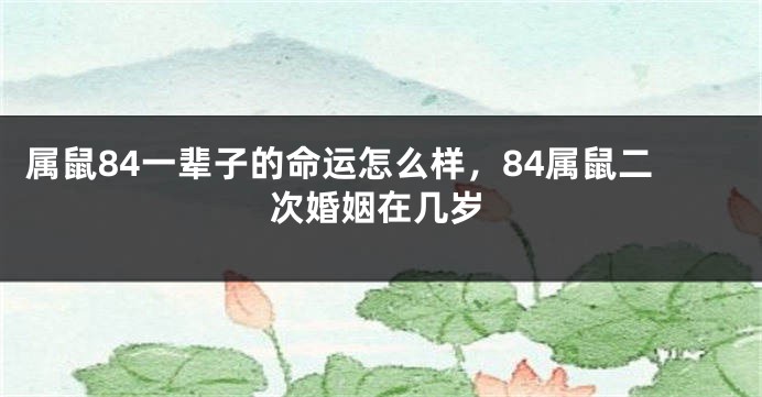 属鼠84一辈子的命运怎么样，84属鼠二次婚姻在几岁