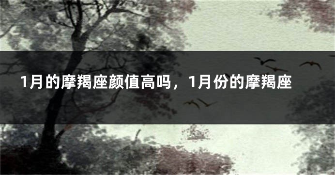 1月的摩羯座颜值高吗，1月份的摩羯座