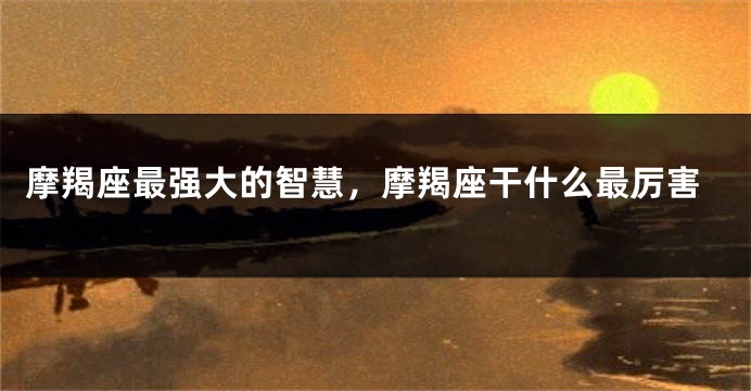 摩羯座最强大的智慧,摩羯座干什么最厉害