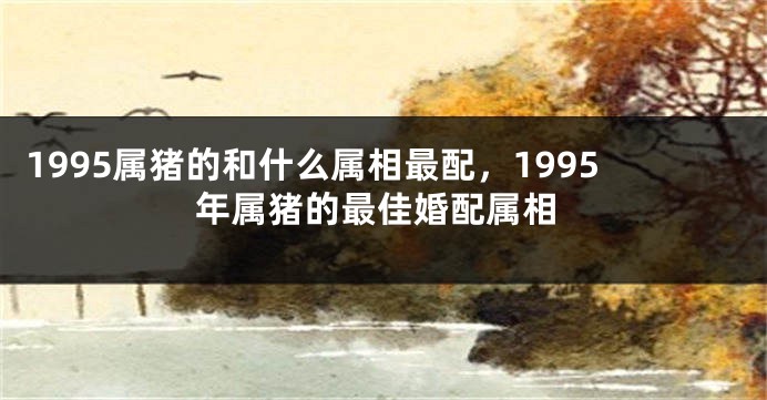 1995属猪的和什么属相最配，1995年属猪的最佳婚配属相