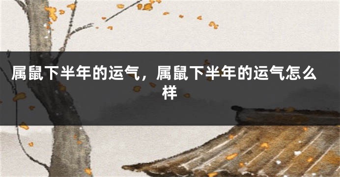属鼠下半年的运气，属鼠下半年的运气怎么样