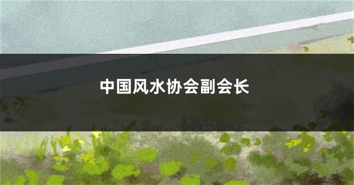 中国风水协会副会长