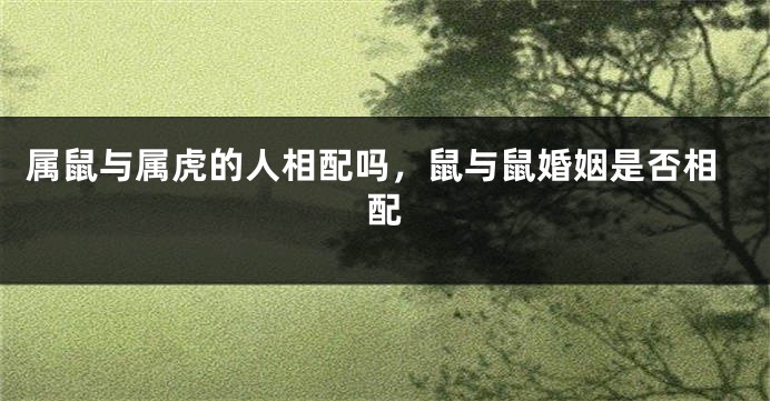 属鼠与属虎的人相配吗，鼠与鼠婚姻是否相配