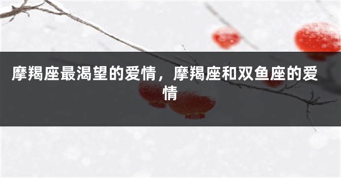 摩羯座最渴望的爱情，摩羯座和双鱼座的爱情
