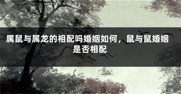 属鼠与属龙的相配吗婚姻如何，鼠与鼠婚姻是否相配