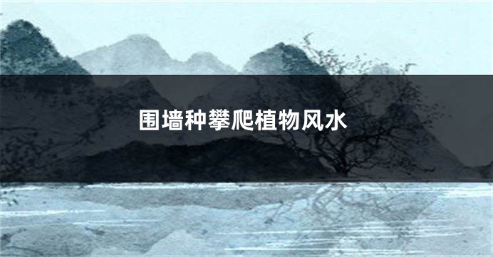 围墙种攀爬植物风水