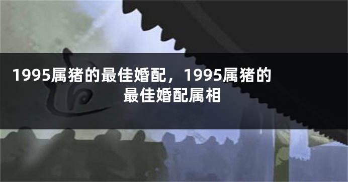 1995属猪的最佳婚配，1995属猪的最佳婚配属相