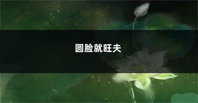 圆脸就旺夫