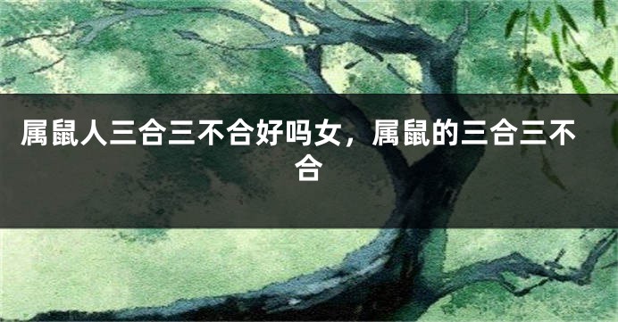 属鼠人三合三不合好吗女，属鼠的三合三不合
