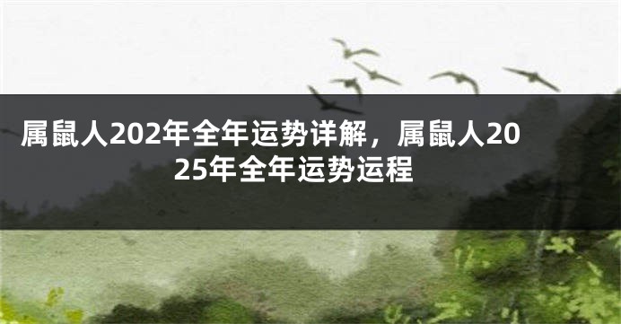 属鼠人202年全年运势详解，属鼠人2025年全年运势运程