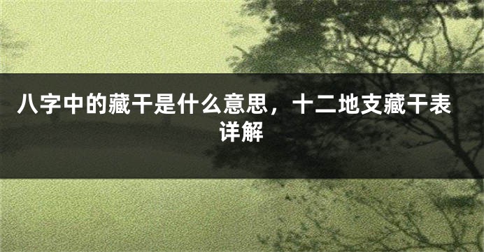 八字中的藏干是什么意思，十二地支藏干表详解