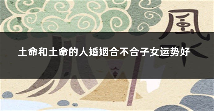 土命和土命的人婚姻合不合子女运势好