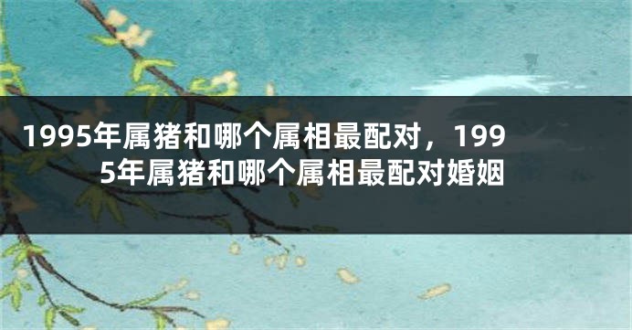 1995年属猪和哪个属相最配对，1995年属猪和哪个属相最配对婚姻