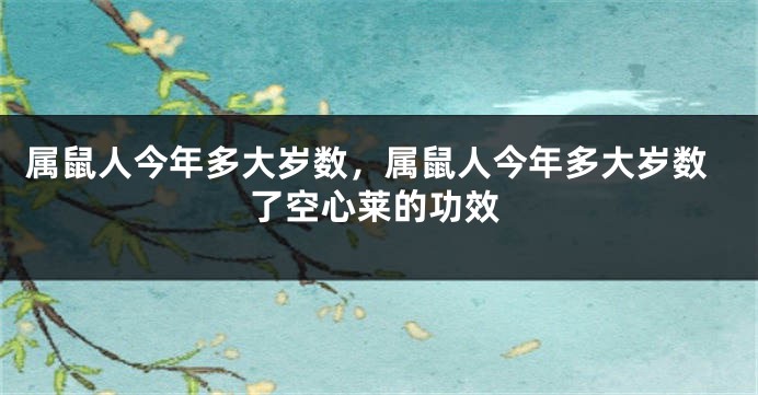 属鼠人今年多大岁数，属鼠人今年多大岁数了空心莱的功效