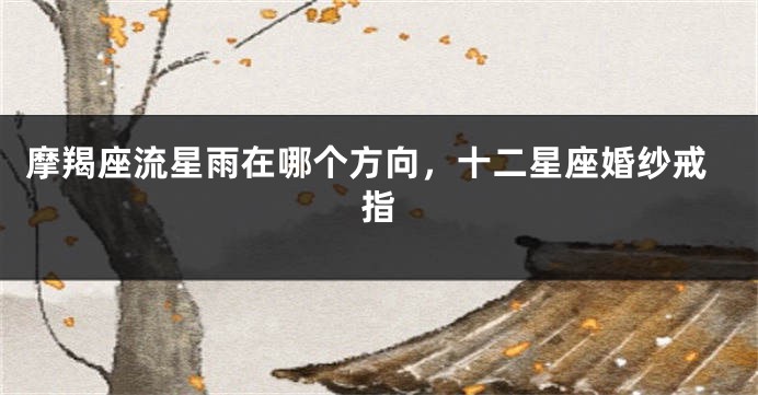 摩羯座流星雨在哪个方向，十二星座婚纱戒指