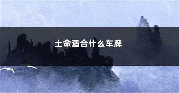 土命适合什么车牌