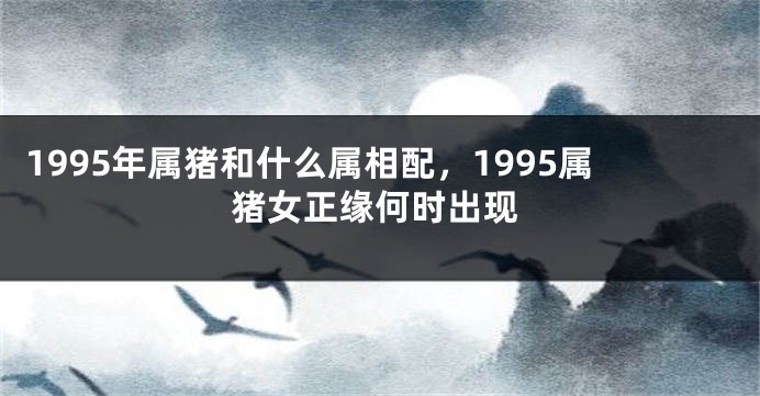 1995年属猪和什么属相配，1995属猪女正缘何时出现