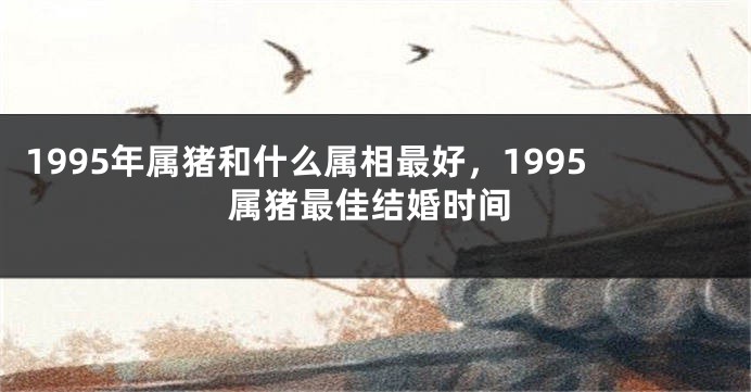 1995年属猪和什么属相最好，1995属猪最佳结婚时间
