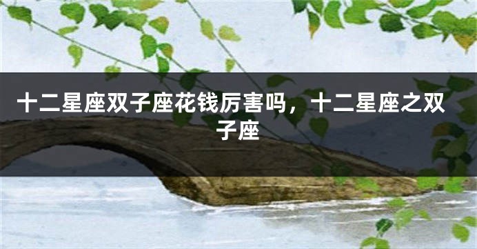 十二星座双子座花钱厉害吗，十二星座之双子座