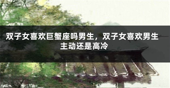 双子女喜欢巨蟹座吗男生，双子女喜欢男生主动还是高冷