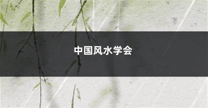 中国风水学会