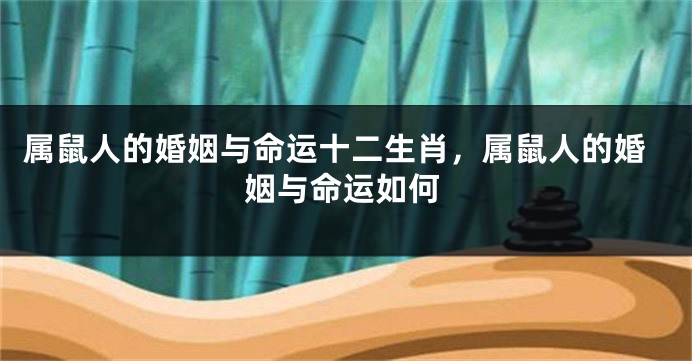属鼠人的婚姻与命运十二生肖，属鼠人的婚姻与命运如何