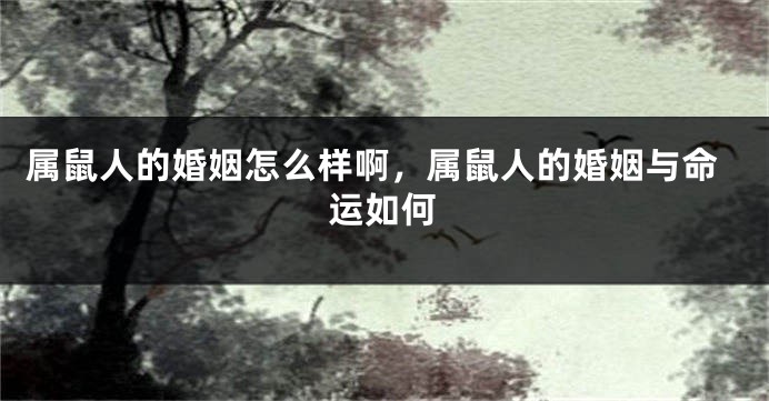 属鼠人的婚姻怎么样啊，属鼠人的婚姻与命运如何