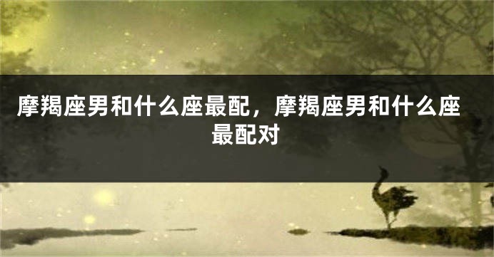 摩羯座男和什么座最配，摩羯座男和什么座最配对