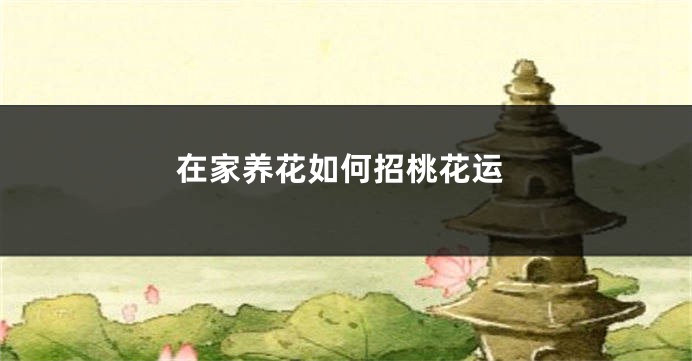 在家养花如何招桃花运