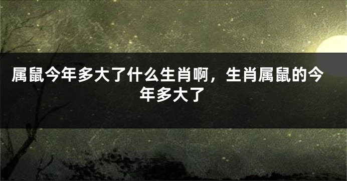 属鼠今年多大了什么生肖啊，生肖属鼠的今年多大了