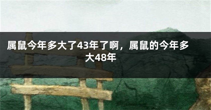 属鼠今年多大了43年了啊，属鼠的今年多大48年