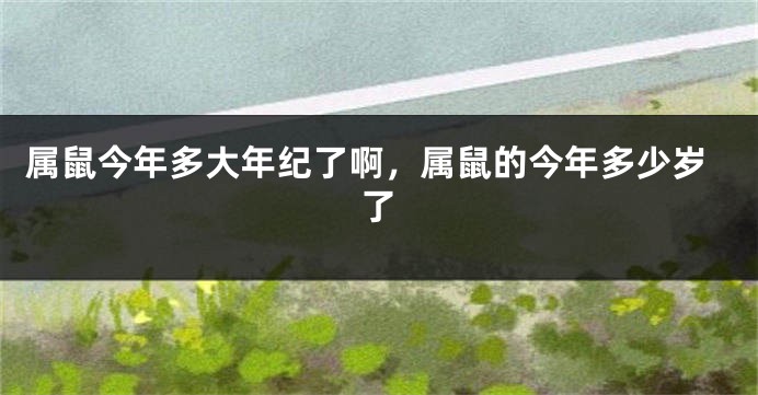 属鼠今年多大年纪了啊，属鼠的今年多少岁了