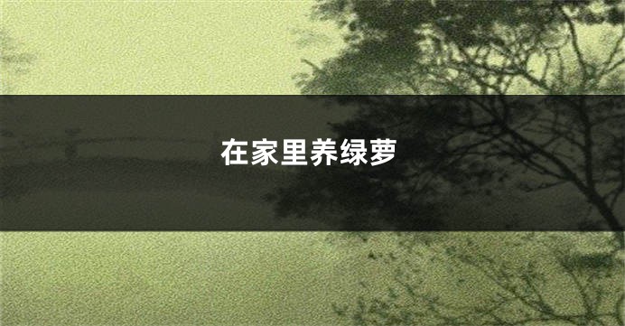 在家里养绿萝