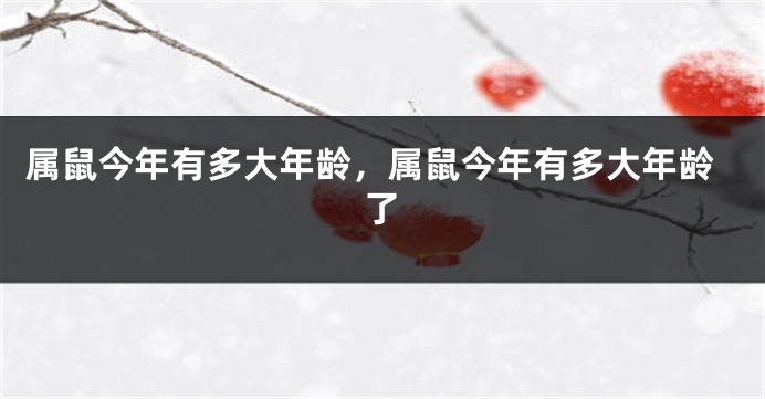 属鼠今年有多大年龄，属鼠今年有多大年龄了