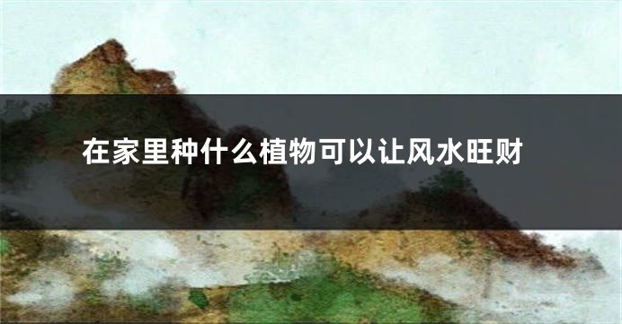 在家里种什么植物可以让风水旺财