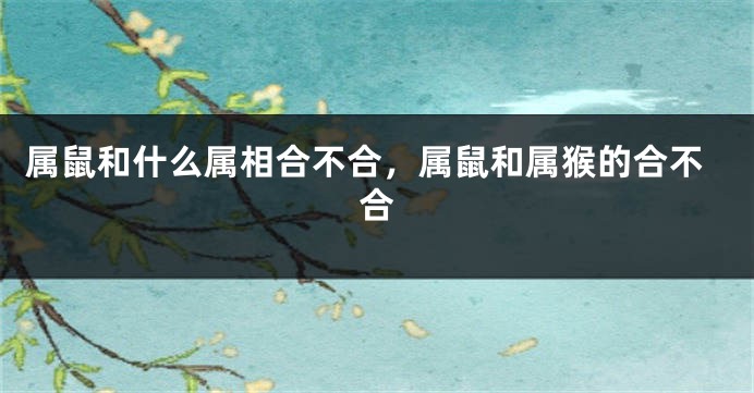 属鼠和什么属相合不合，属鼠和属猴的合不合