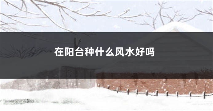 在阳台种什么风水好吗