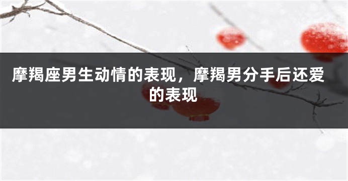摩羯座男生动情的表现，摩羯男分手后还爱的表现
