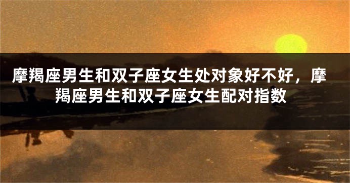 摩羯座男生和双子座女生处对象好不好，摩羯座男生和双子座女生配对指数
