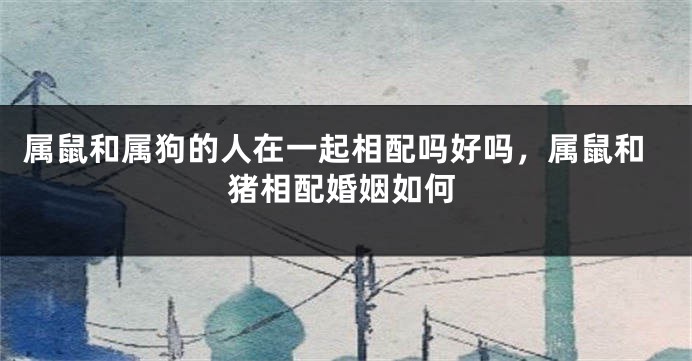 属鼠和属狗的人在一起相配吗好吗，属鼠和猪相配婚姻如何