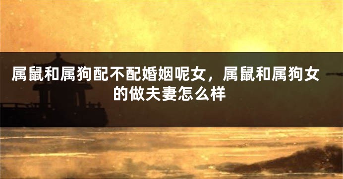 属鼠和属狗配不配婚姻呢女，属鼠和属狗女的做夫妻怎么样
