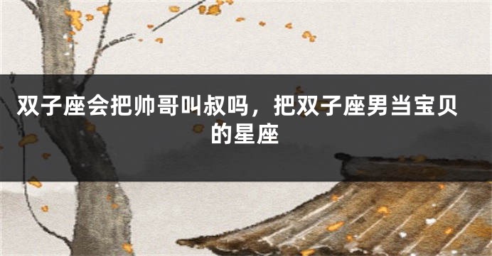 双子座会把帅哥叫叔吗，把双子座男当宝贝的星座
