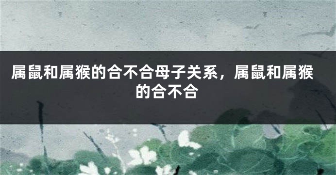 属鼠和属猴的合不合母子关系，属鼠和属猴的合不合