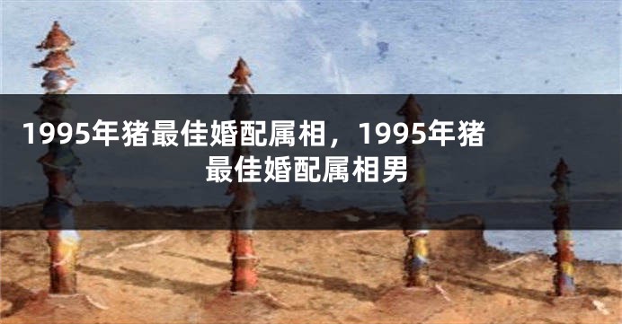 1995年猪最佳婚配属相，1995年猪最佳婚配属相男